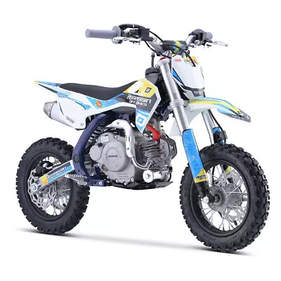 Assassin Dk60 60cc 4 Stroke Auto Kids Pee Wee Mini Dirt Bike Off Road • $1279.99