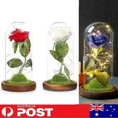 $21.99 • Buy Rose In Glass Dome Eternal Forever Flower LED Night Light Valentine Wedding Gift