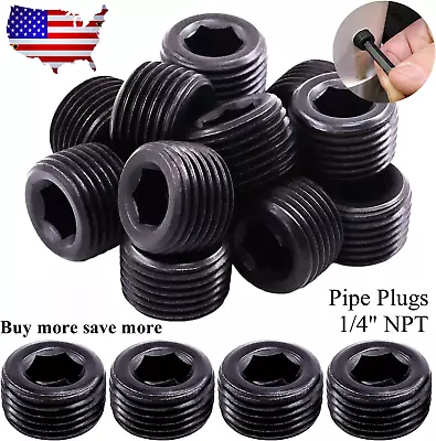 NPT Plugs 1/4  Inch Pipe End Thread Allen Socket Steel Block Off 1/5/10/20pcs • $4.90