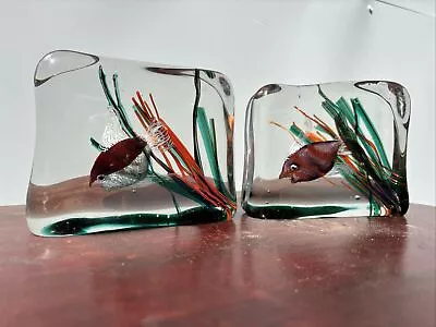 Vintage Authentic Murano Cenedese 1950s Barbini & Licata Glass Fish Aquarium • $10.50