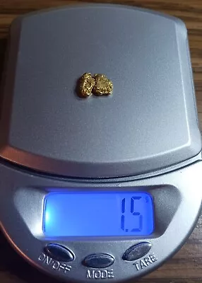  Gold Nugget  1.5 Grams  • $120