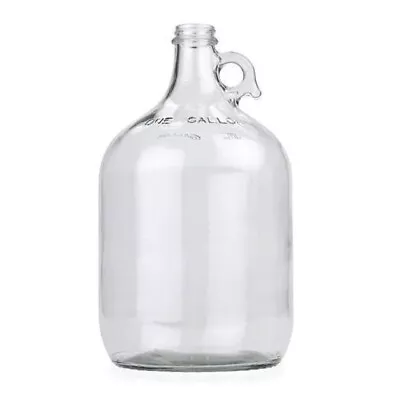 Carboy - 1 Gallon Clear Glass • $21.80