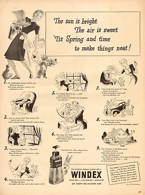 1942 Vintage Household Cleaning AD WINDEX Glass Cleaner Great Cartoons101617 • $7.48