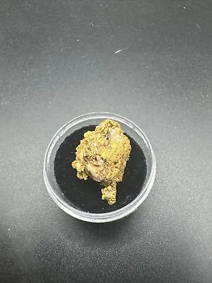 California Natural Gold Nugget 8.08 Grams W/quartz In A Gem Jar W/lid • $729