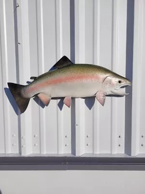 25  Rainbow Trout Half Fish Mount Replica - Quick Production • $160