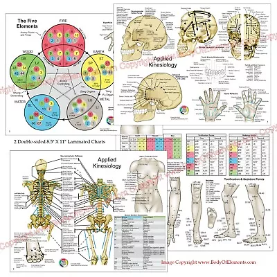 Applied Kinesiology Chart Set 8.5  X 11  Chiropractic Acupuncture Reference • $11.95