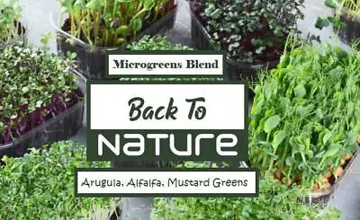 Arugula Alfalfa & Mustard Greens Microgreen Seed Assortment - Seeds - Non Gmo • $2.09