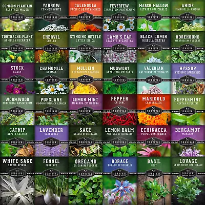 Ultimate Medicinal Heirloom Herbs Seeds - 36 Variety Pack Of Herb Seeds • $55.98