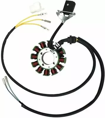 12 Coil Magneto Stator Fr 200cc 250cc Lifan YX Zongshen 4Stroke ATV Scooter Quad • $45.63