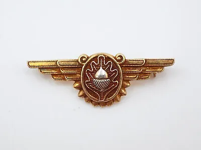 Original WWII US Navy Naval Flight Surgeon Wings Gilt Sterling • $39.97