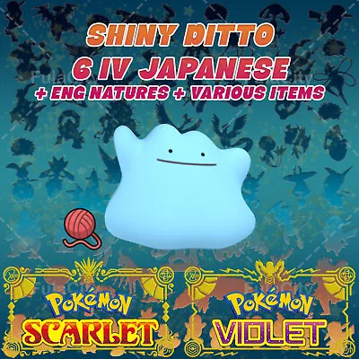 Ditto Japanese ✨ Pokemon Scarlet Violet ✨ 6 Iv (any Nature) + Items/eng Masuda ✨ • $29.99