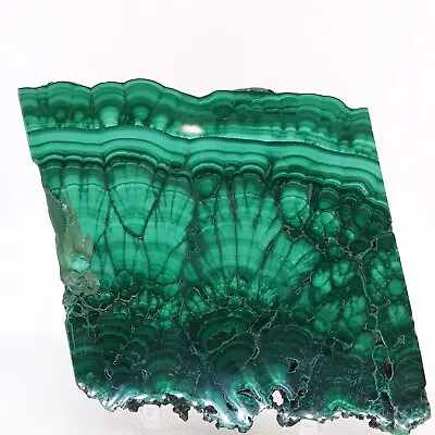 Malachite Polished Slab Specimen Display Mineral Green #R-4228 • $68