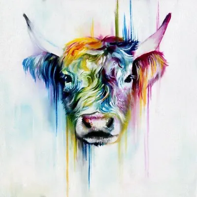 £21.99 • Buy Highland Pride Colourful Cow Wallpaper 20x20 Inch Canvas Framed READY TO HANG!!!