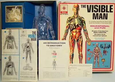 Vintage RENWAL (The Visible Man) Model/Assembly Kit • $30