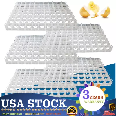 5pcs 440 Quail Egg Automatic Hatcher Tray Automatic Breeding Machine Incubator • $23.75