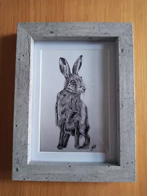 £0.99 • Buy HARE BABY 6 X 4  Unframed Matt Photo Print Picture Love Gift Animal Drawing