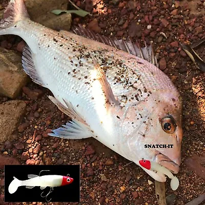 $9.50 • Buy Soft Plastic Vibe Lures Poddy Mullet Flathead Jig Heads Barra Cod Fishing Tackle