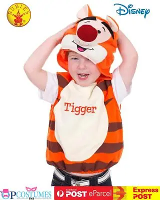 Disney TIGGER Tabard Winnie The Pooh Toddler Baby Child Kid Plush Costume • $30