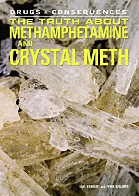 The Truth About Methamphetamine And Crystal Meth Frank Norquist • $9.72