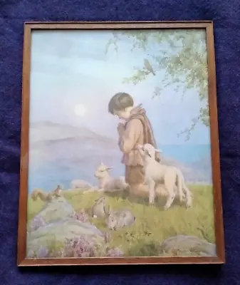 LARGE VINTAGE Framed Margaret W. Tarrant Print Boy Praying Lambs • £20