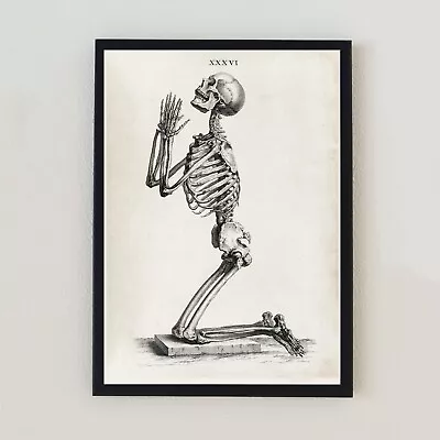 Antique Praying Skeleton Illustration Vintage Anatomy Retro 5x7 Wall Art Print • $6.21