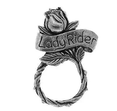 $11.99 • Buy Biker Lady Rider Sunglass Eyeglass Holder Pewter  Vest Jacket Pin Pins Usa