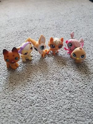 Littlest Pet Shop Bundle • £2