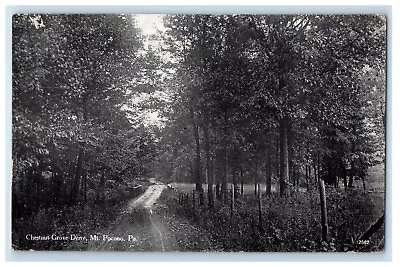 1912 Chestnut Grove Drive Mt. Pocono Pennsylvania PA Antique Postcard • $29.95