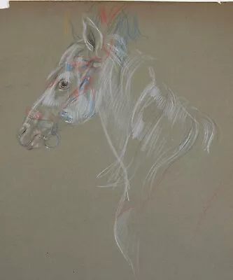 Athene Andrade (1908–1973) Coloured Pencil Drawing Of A Circus Horse. V&A • £26.50