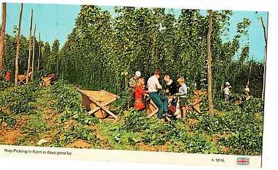 KENT; HOP PICKING IN DAYS GONE BY Vintage Postcard -used Not Posted (1) • £1.99