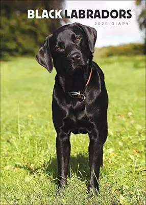 Labrador Retrievers Black A5 Diary 2020 Book The Cheap Fast Free Post • £6.99