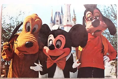 Walt Disney World Mickey Mouse Pluto Goofy Magic Kingdom Postcard Old Vintage PC • $1.25