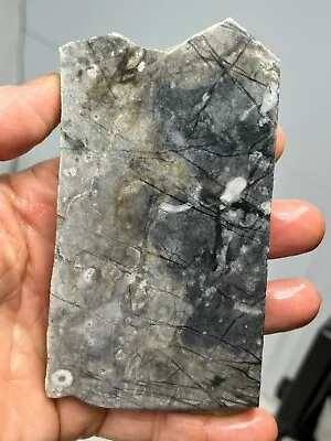 Picasso Marble (Jasper) Rough Slab For Cabbing Lapidary Carving Riki Chakra Utah • $14