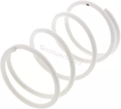 2913316 OEM Malossi White Clutch Spring For Honda Forza NSS300 2014-2016 • $18.02