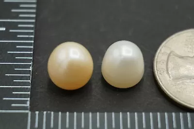 $13.68 • Buy Loose Baroque Pearls 14ct Undrilled (Natural Australia South Sea Saltwater)ssc59