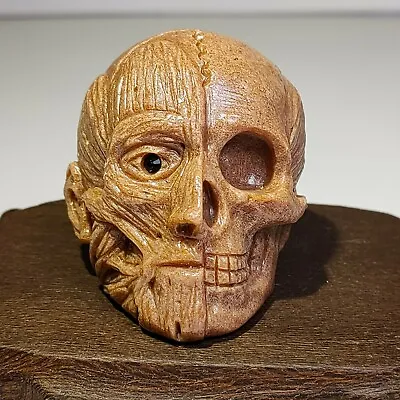 Natural Quartzite Mineral Rough Handmade Sculpture Skull • $15