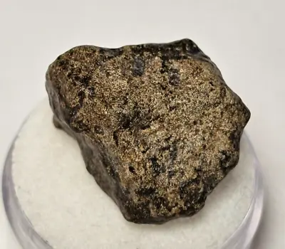 Amgala 001 Rare Individual Martian Shergottite Mars Meteorite 8.44 Grams • $589.95