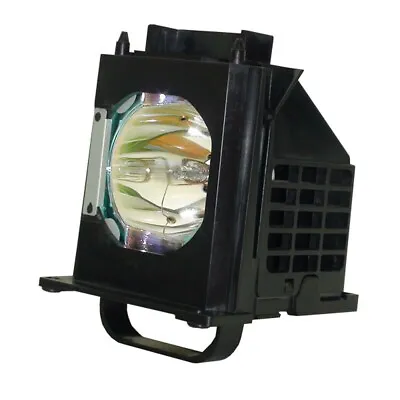 Lamp & Housing For The Mitsubishi WD-73735 TV • $35.49