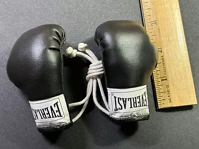 Boxing Gloves Mini Everlast • $11.99