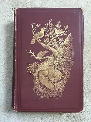 1876 Rare 1st GEOGRAPHICAL DISTRIBUTION OF ANIMALS VOL 1 ALFRED WALLACE • $300