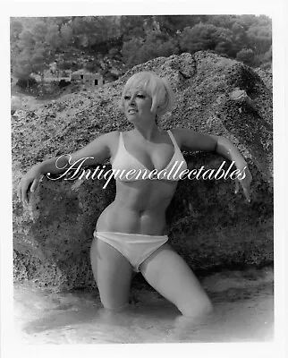 Darkroom Produced 8x10 Photograph Sexy Glamour Model June Palmer D33 • £14.24