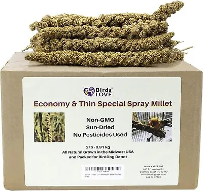 Birds LOVE Economy & Thin Special Spray Millet - Natural Treat For Pet Birds 2lb • $28.99