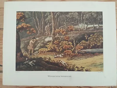 Vintage H. Alken Woodcock Shooting Hunting Print Unframed 41cm X 30.5cm • £15