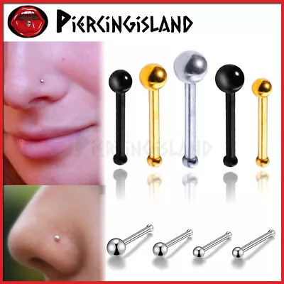 22g Nose Ear Cartilage Ball Stud Ring Bar Piercing Retainer 316L Steel Piercing • $2.44