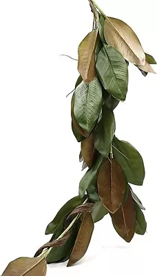 Serene Spaces Living 50in Long Artificial Magnolia Leaf Garland Ideal To Hang • $50