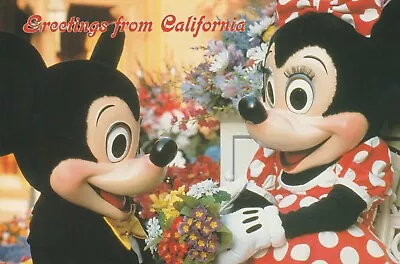 POSTCARD P: Mickey's California Collection • $0.99