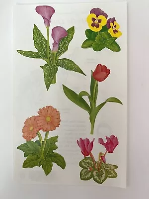 Creative Memories / Mrs. Grossman's NLA Giant Sticker - Blooming Plants • $0.99