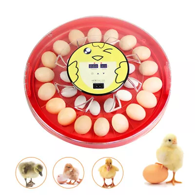 30-Egg Digital Incubator Chicken Quail Hatcher Incubators For Hatching Eggs 110V • $55.10