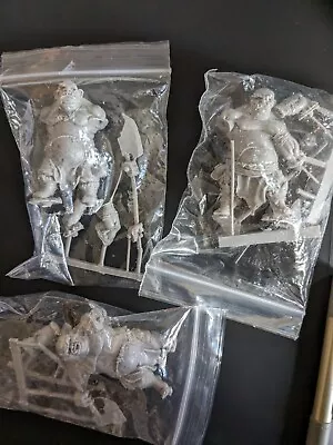 Mierce Miniatures Erainn Fir Bholg Hurlers Unit Resin Ogres • £38