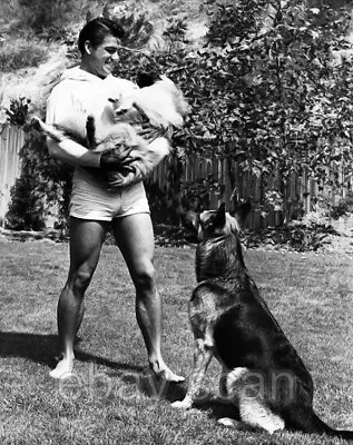 Actor Van Williams Plays With Dogs In Tight Shorts Beefcake   8x10 Photo 55 • $14.99